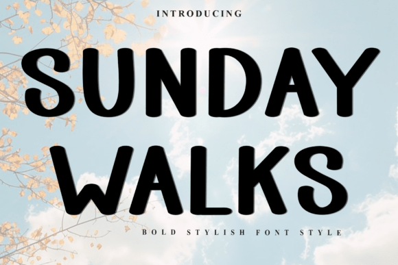 Sunday Walks: The Bold Display Font for Scroll-Stopping Campaigns